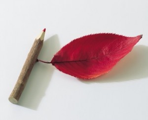 pencil-leaf